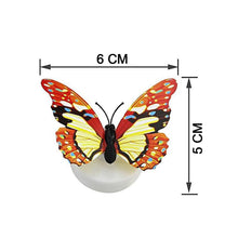 The Butterfly 3D Night Lamp Comes with 3D Illusion Design Suitable for Drawing Room, Lobby.n  (Loose)